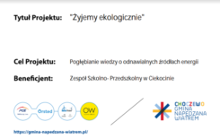 Więcej o: Projekt “Żyjemy ekologicznie”